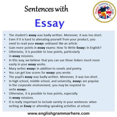 how many sentences should be in an essay